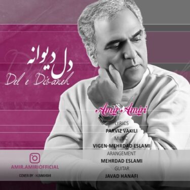 دانلود آهنگ جدید امیر امیری دل دیوانه